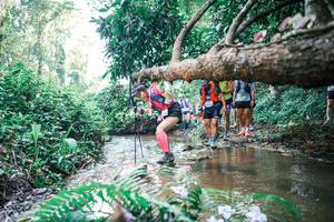 BIB: 
                            <button type="button" onclick="openModal(25454074)" class="btn btn-primary btn-sm float-right btn-popup" data-toggle="modal" data-target=".modal-high-quality">
                        <i class="fas fa-shopping-cart"></i> Add to Cart
                    </button>
                                            <button type="button" onclick="isThisMe(25454074, true)" class="btn btn-success btn-sm float-right btn-popup btn-isme hidden" data-toggle="tooltip" data-placement="bottom" title="นี่คือรูปของคุณใช่ไหม คลิกที่นี่เพื่อเอาเข้าอัลบั้ม">
                        <i class="fas fa-plus"></i> Add to album
                    </button>
                    <button type="button" onclick="isThisMe(25454074, false)" class="btn btn-warning btn-sm float-right btn-popup btn-isnotme hidden">
                        <i class="fas fa-ban"></i> Remove from album
                    </button>